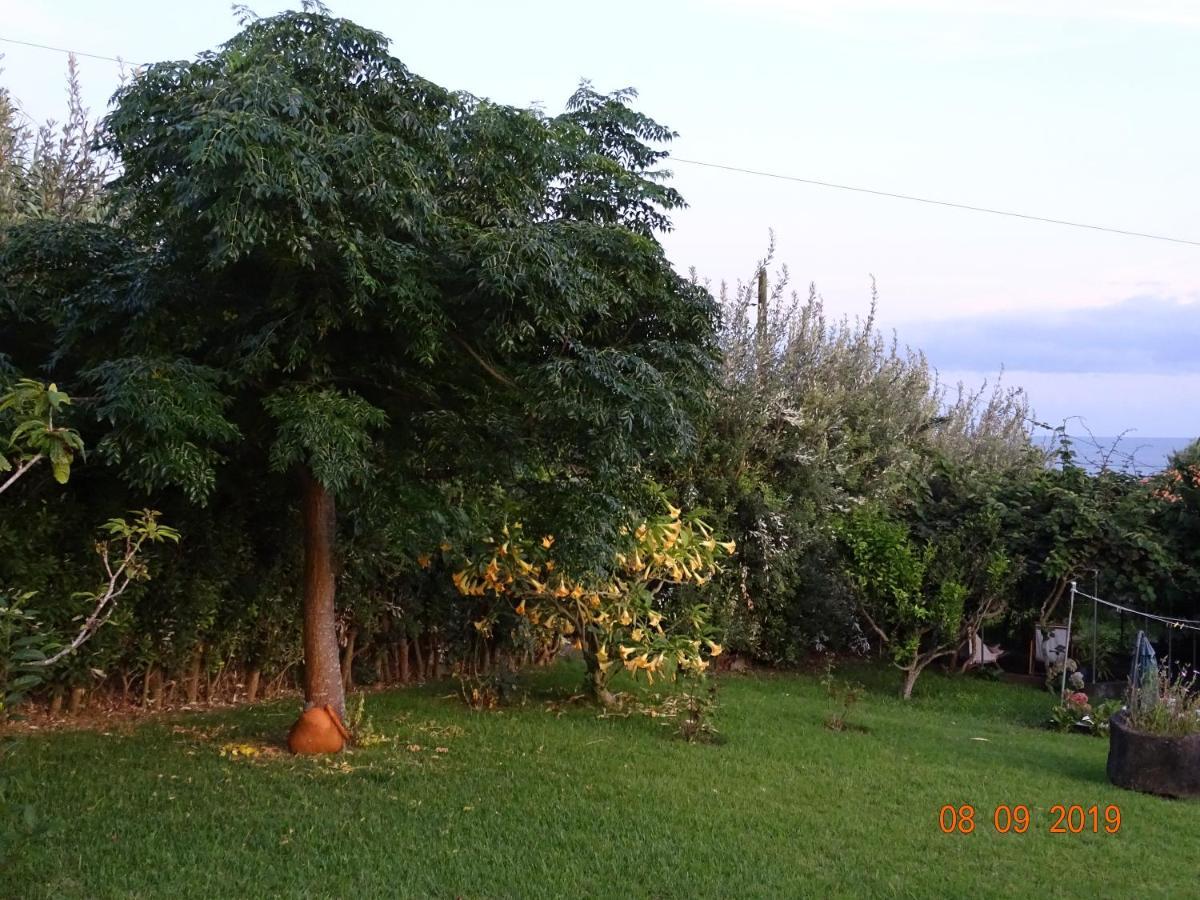 Willa Quinta Da Maria Horta  Zewnętrze zdjęcie